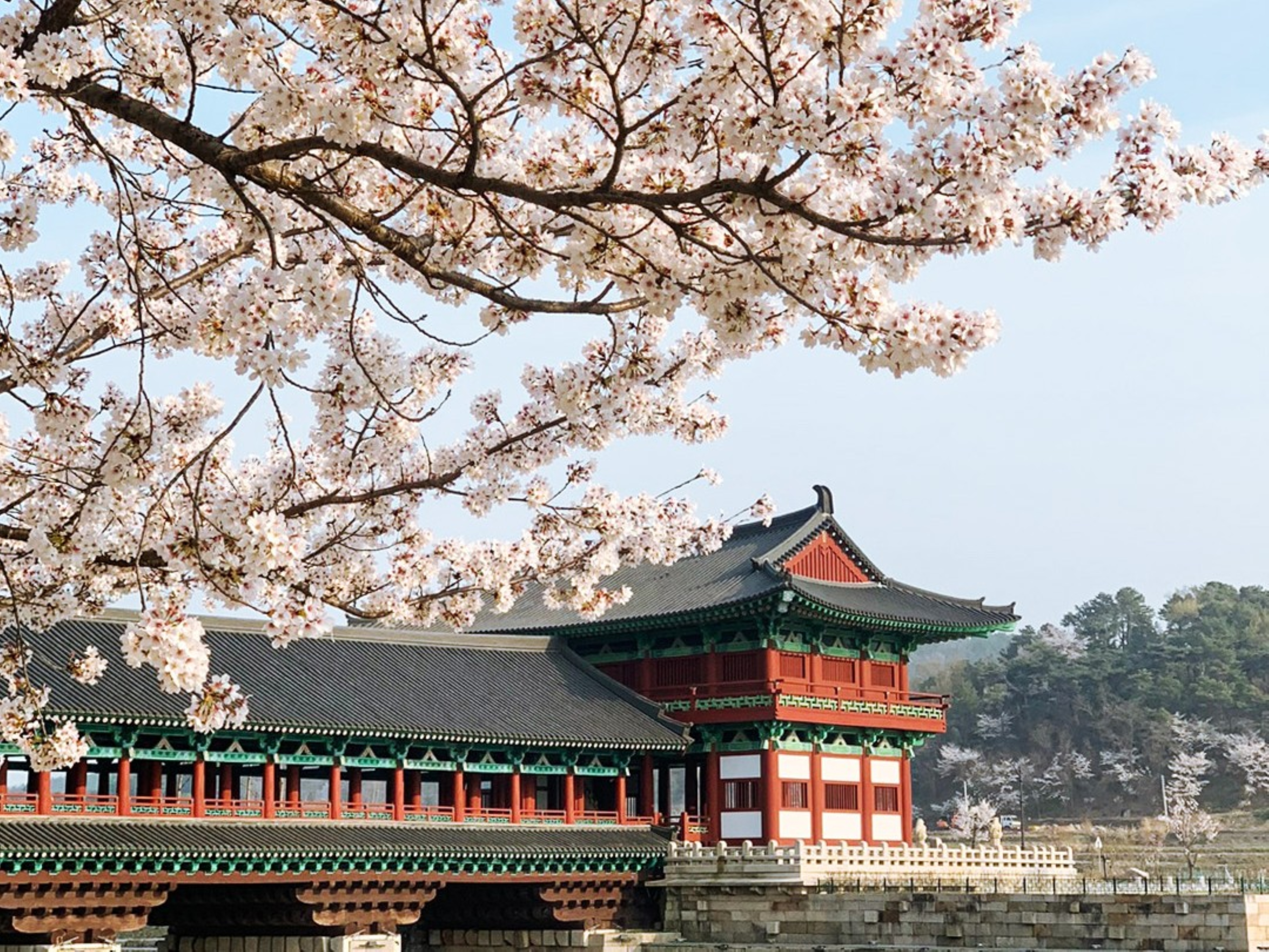 Gyeongju UNESCO Highlights 6-Hour Express Tour from Busan - Photo 1 of 14